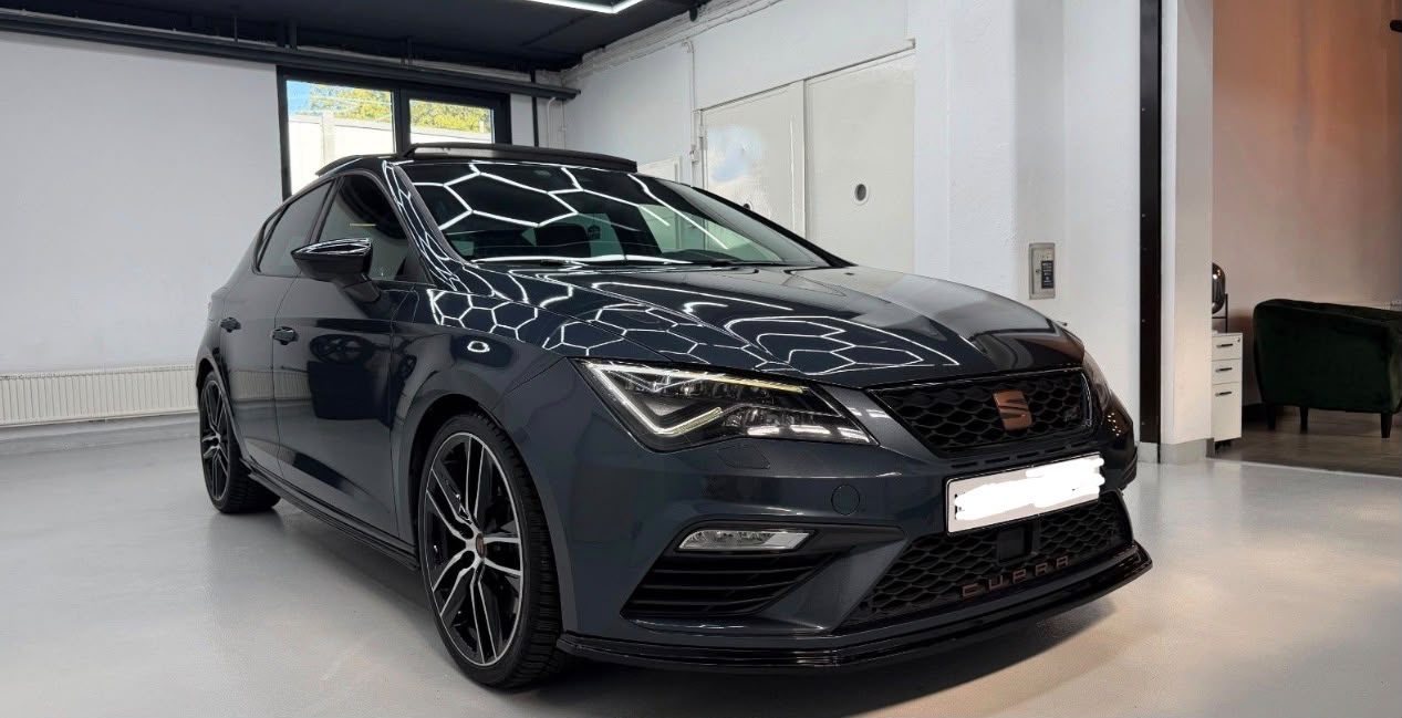 Seat Leon Cupra 290