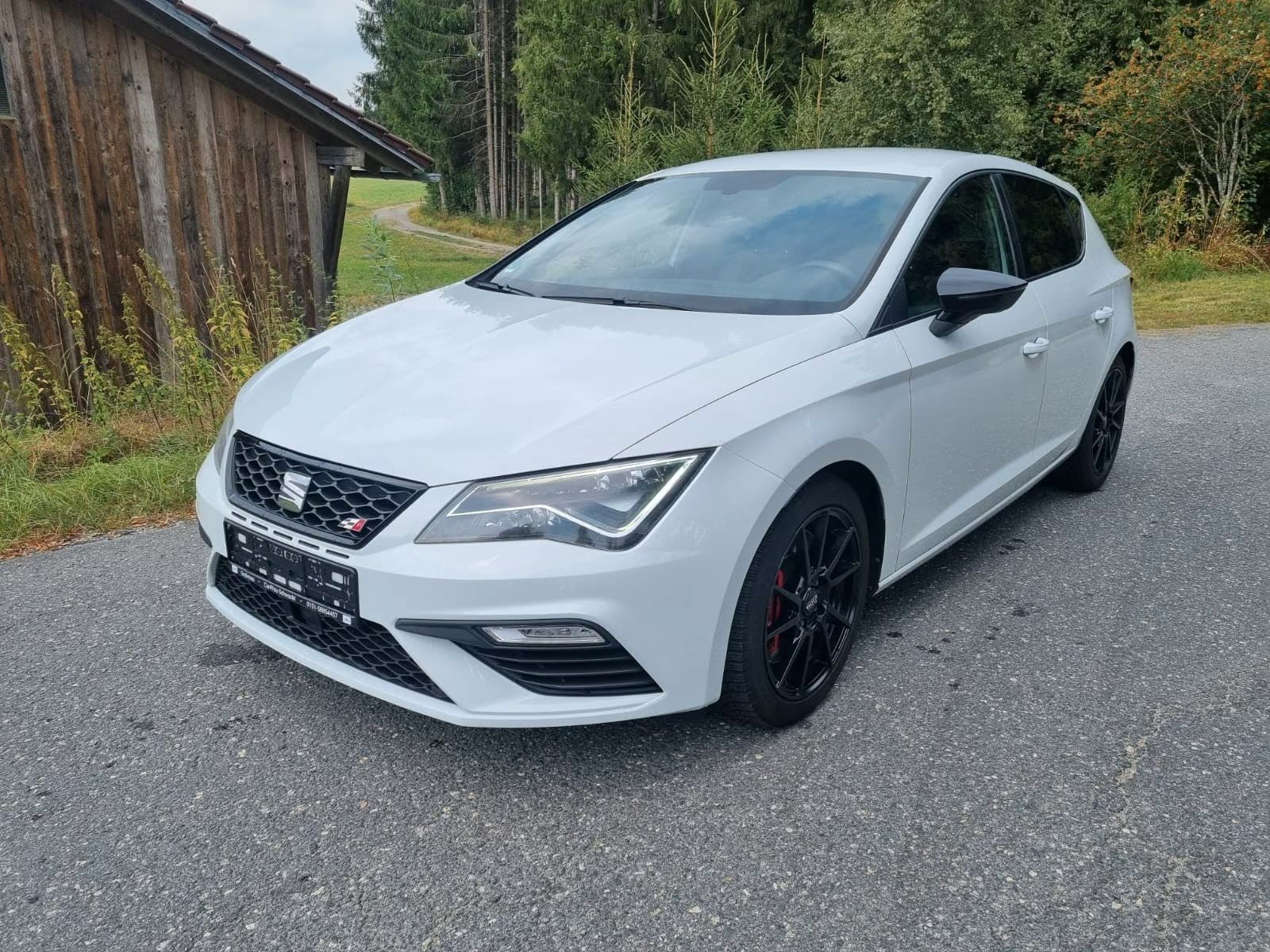 Seat Leon Cupra 300